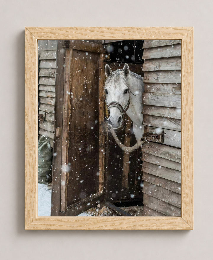Horse Peeking Out at the Snow Wall Art