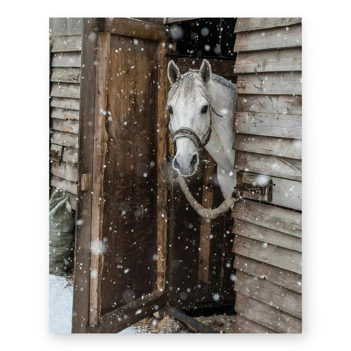 Horse Peeking Out at the Snow Wall Art