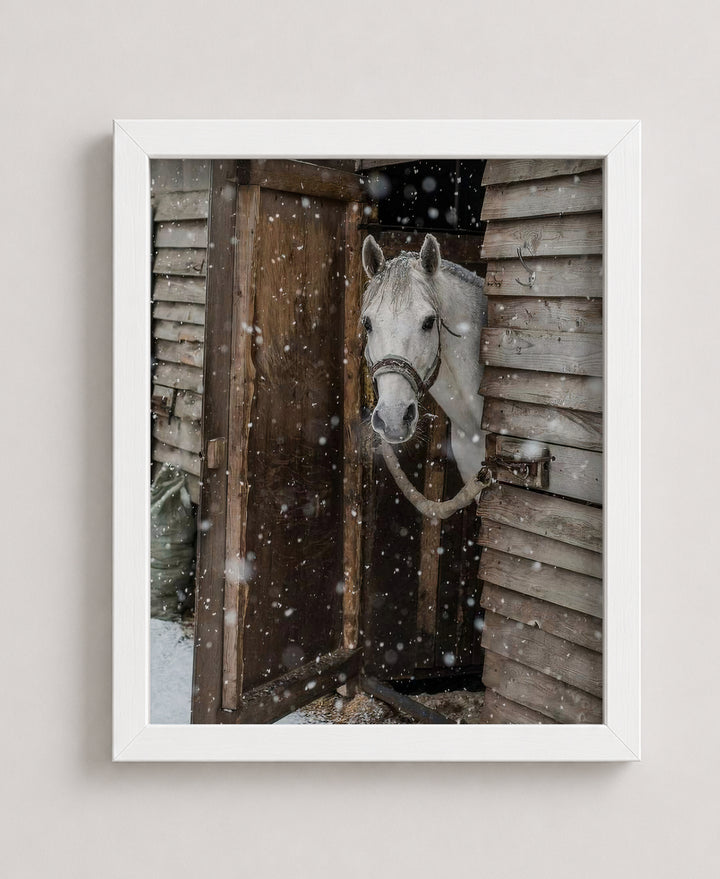 Horse Peeking Out at the Snow Wall Art
