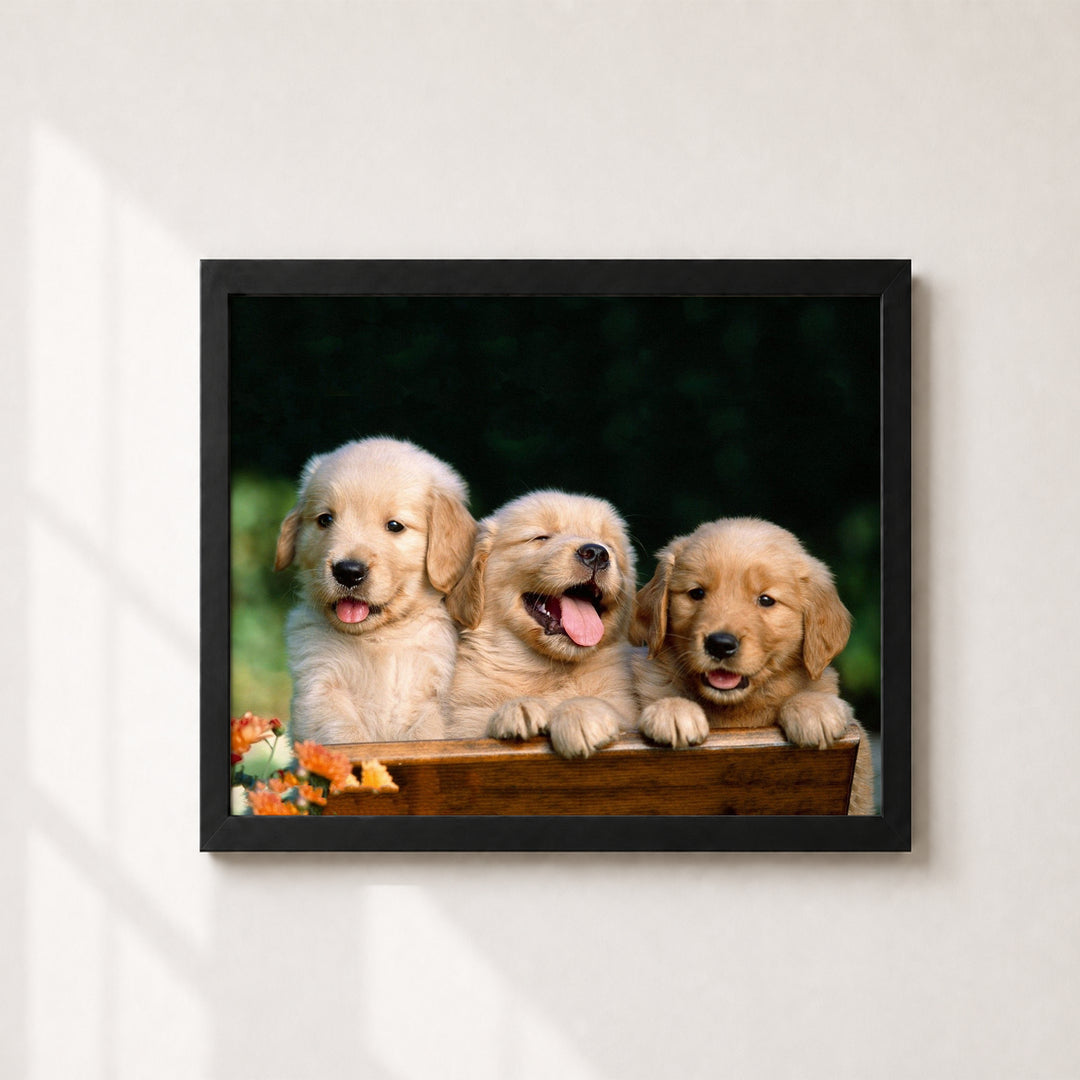Lab Puppy Triplets Inspirational Wall Art