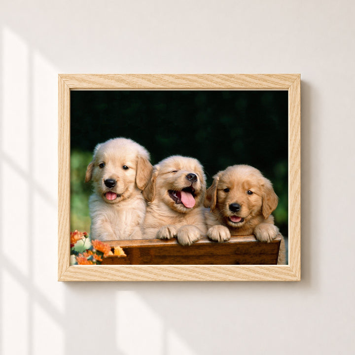 Lab Puppy Triplets Inspirational Wall Art