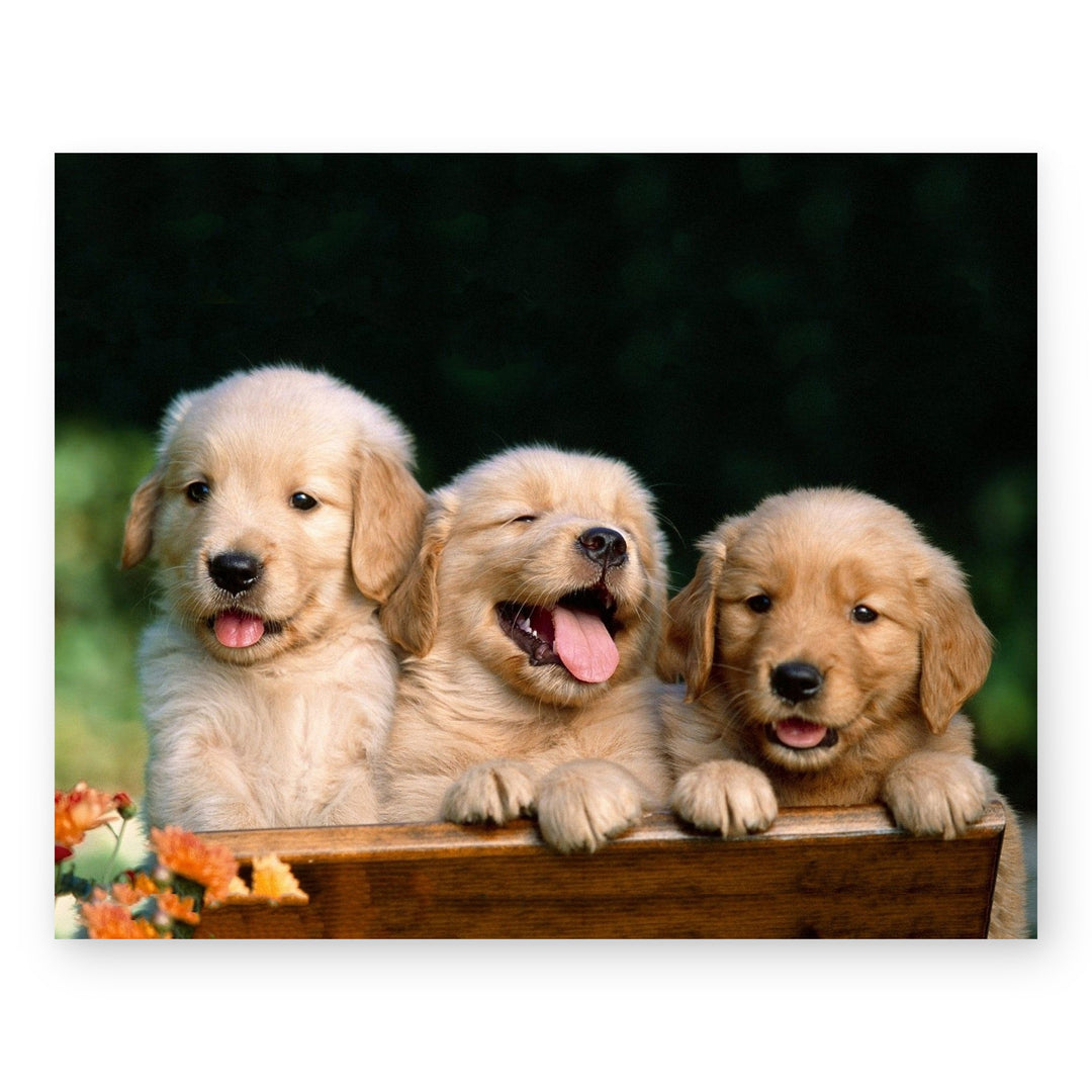 Lab Puppy Triplets Inspirational Wall Art