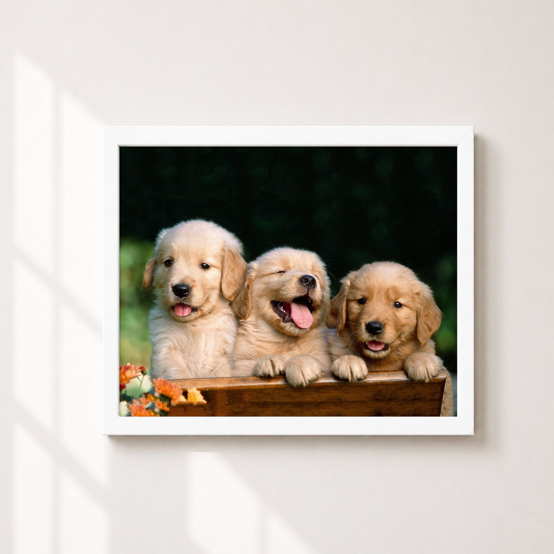 Lab Puppy Triplets Inspirational Wall Art