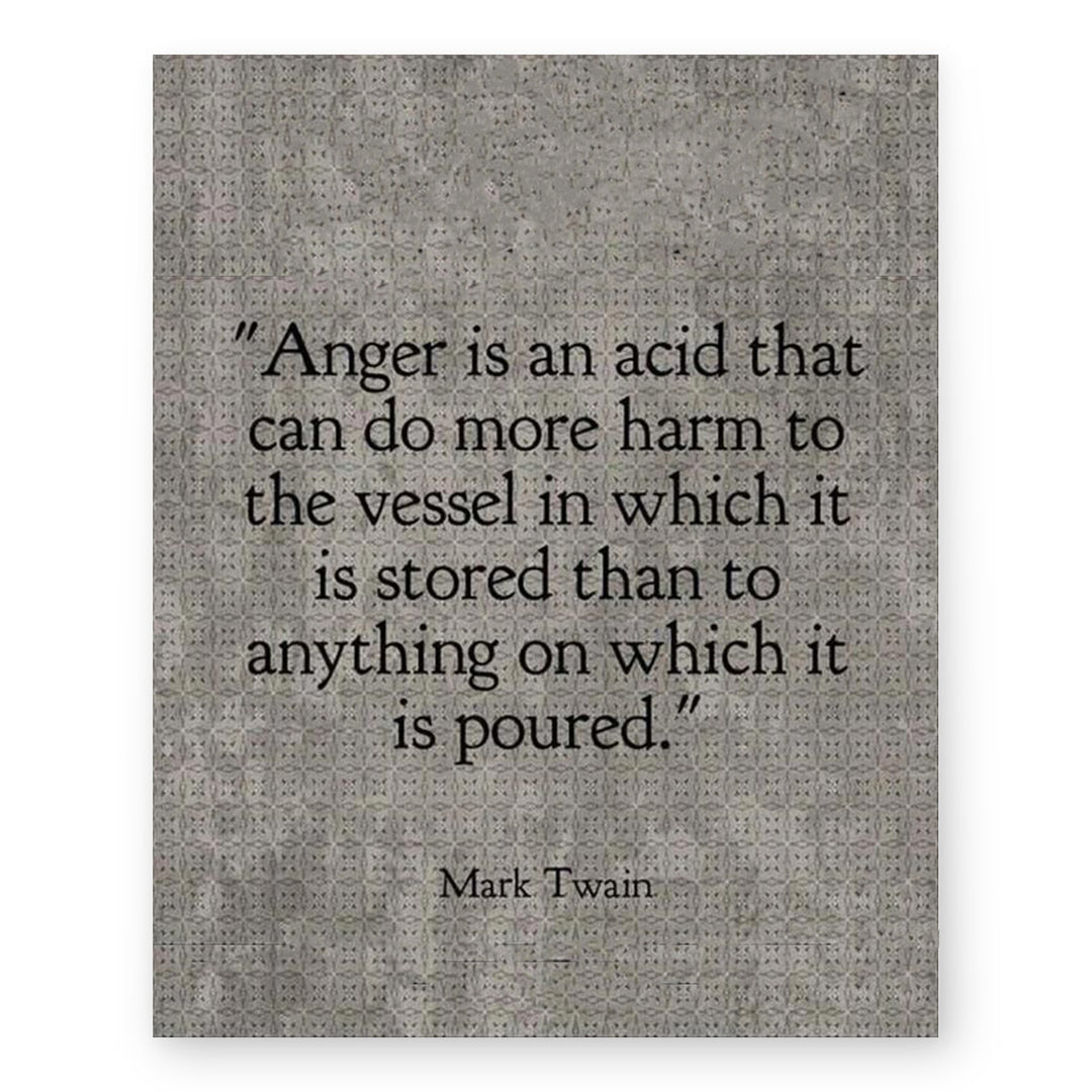 Mark Twain Anger Inspirational Wall Art