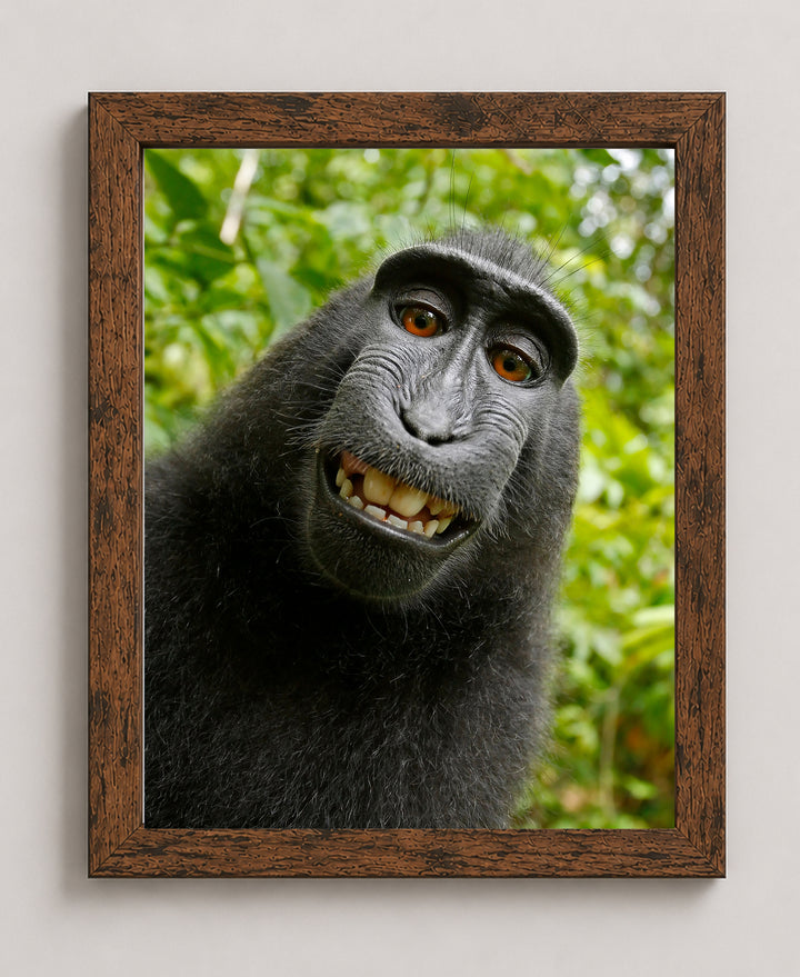 Smiling Monkey Selfie Funny Wall Art
