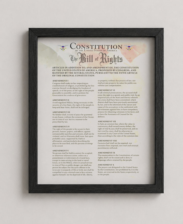 Constitution of the USA &amp; Bill of Rights Patriotic Wall Art