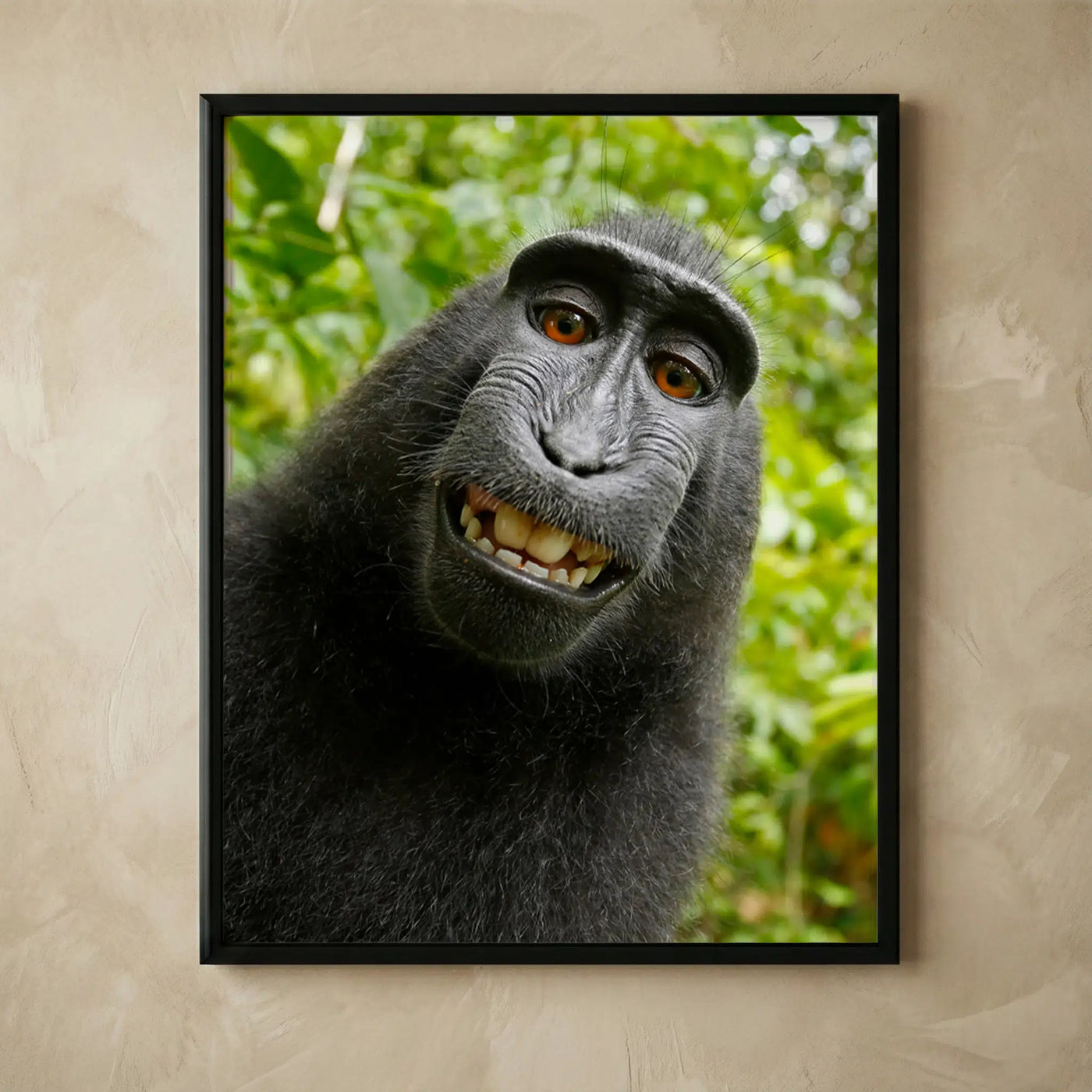 Smiling monkey selfie animal wall art