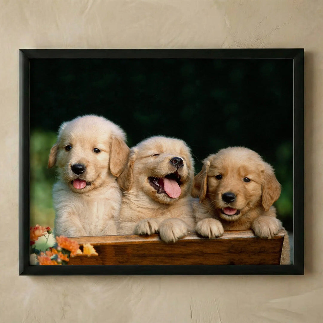 Lab puppy triplets cute poster print