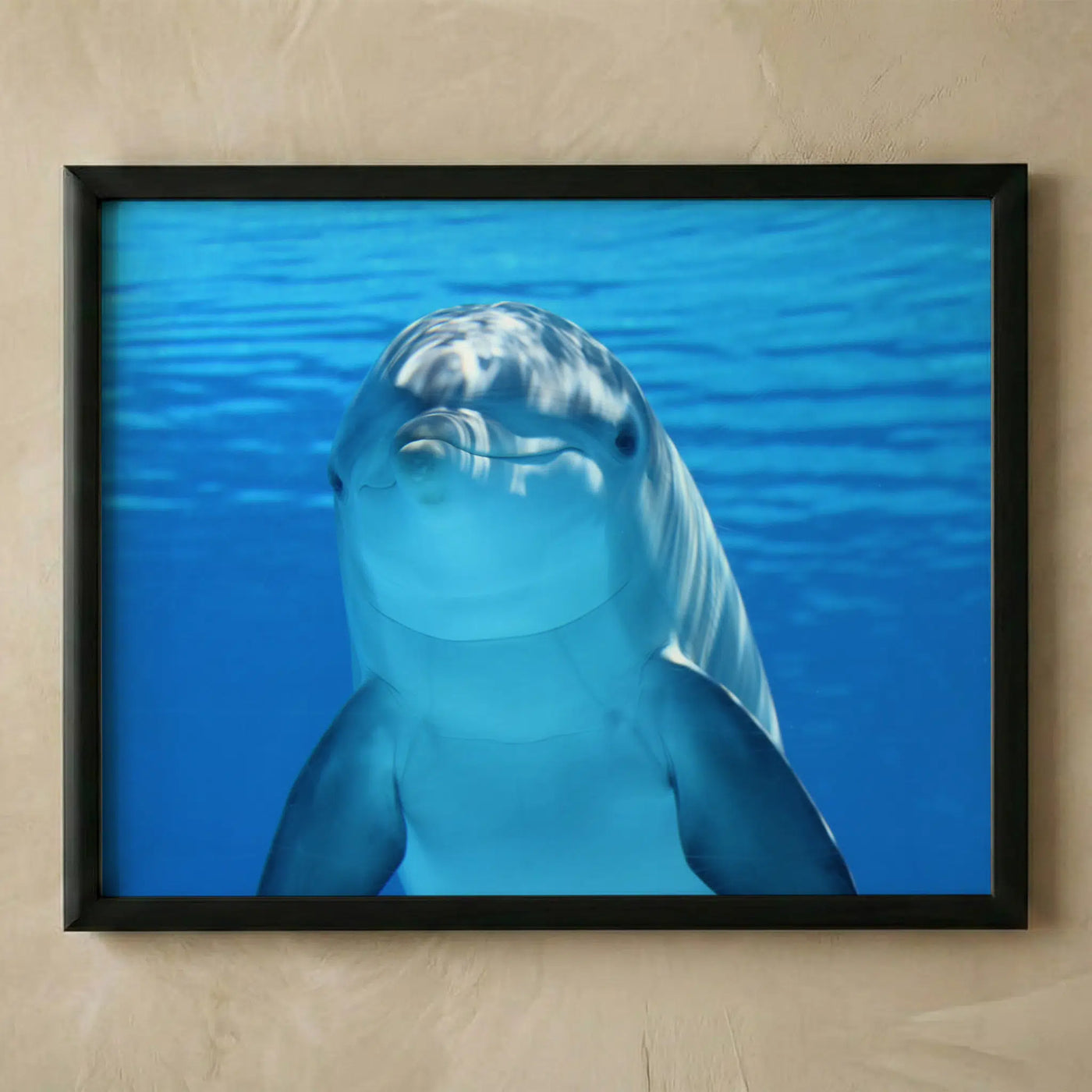 Smiling dolphin wall art print 10x8