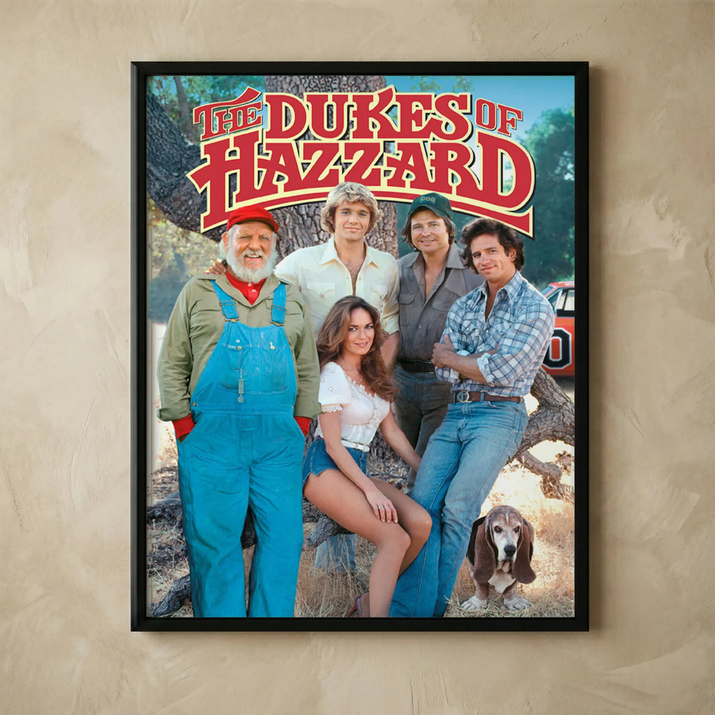 The Dukes of Hazzard vintage funny wall art