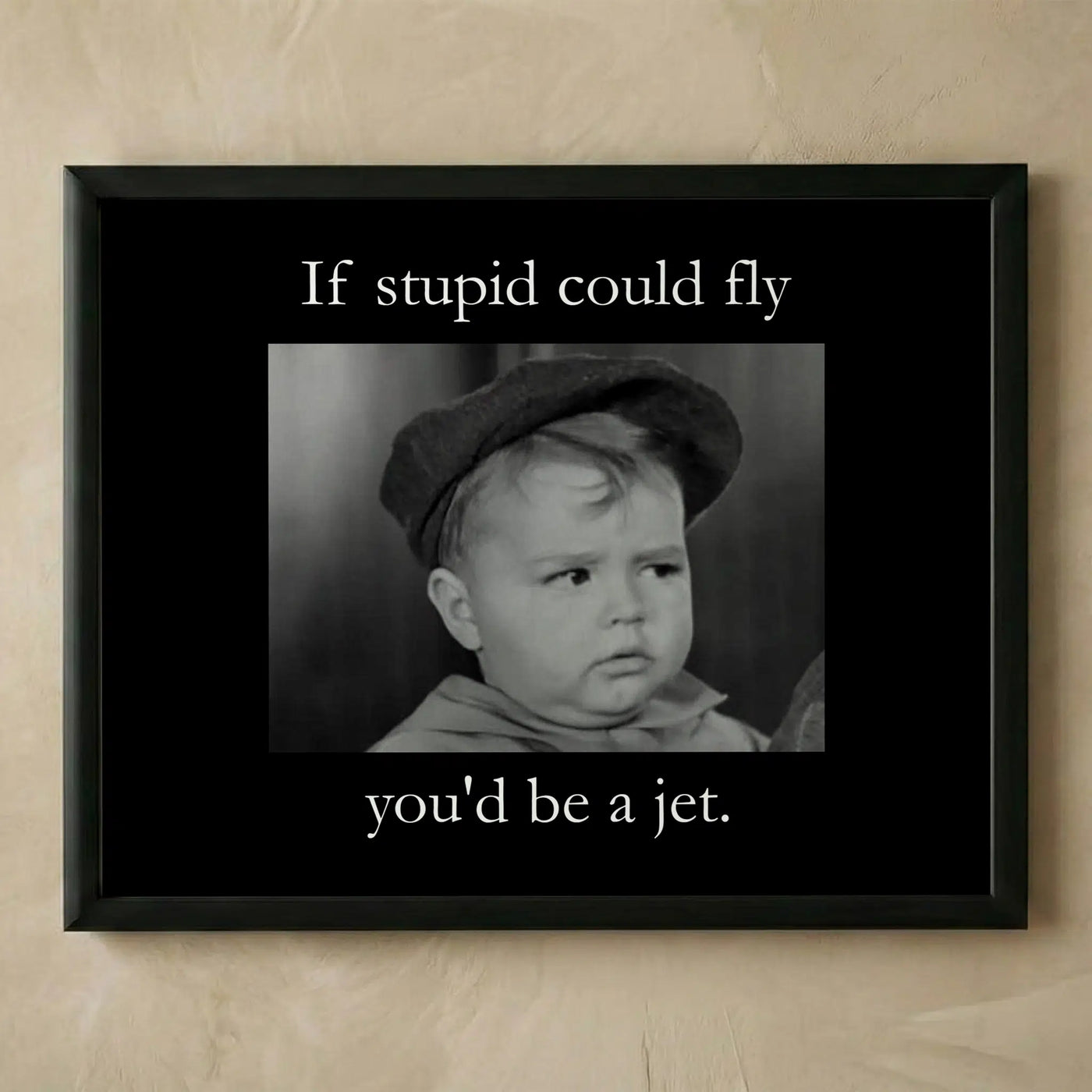 If Stupid Could Fly sarcastic wall art print