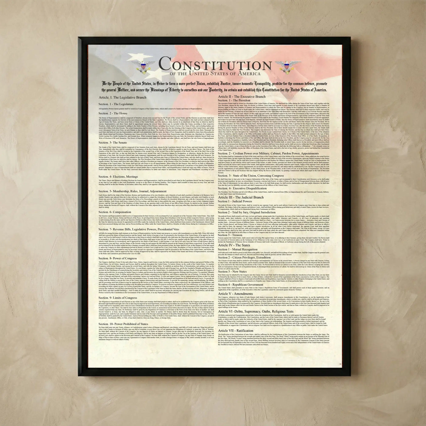 USA Constitution American Flag wall art poster