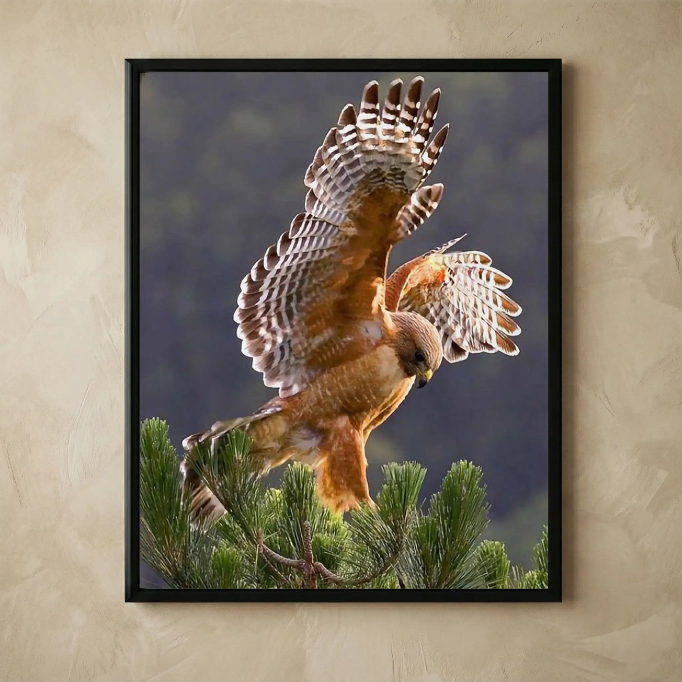 Hawk in flight motivational wall art