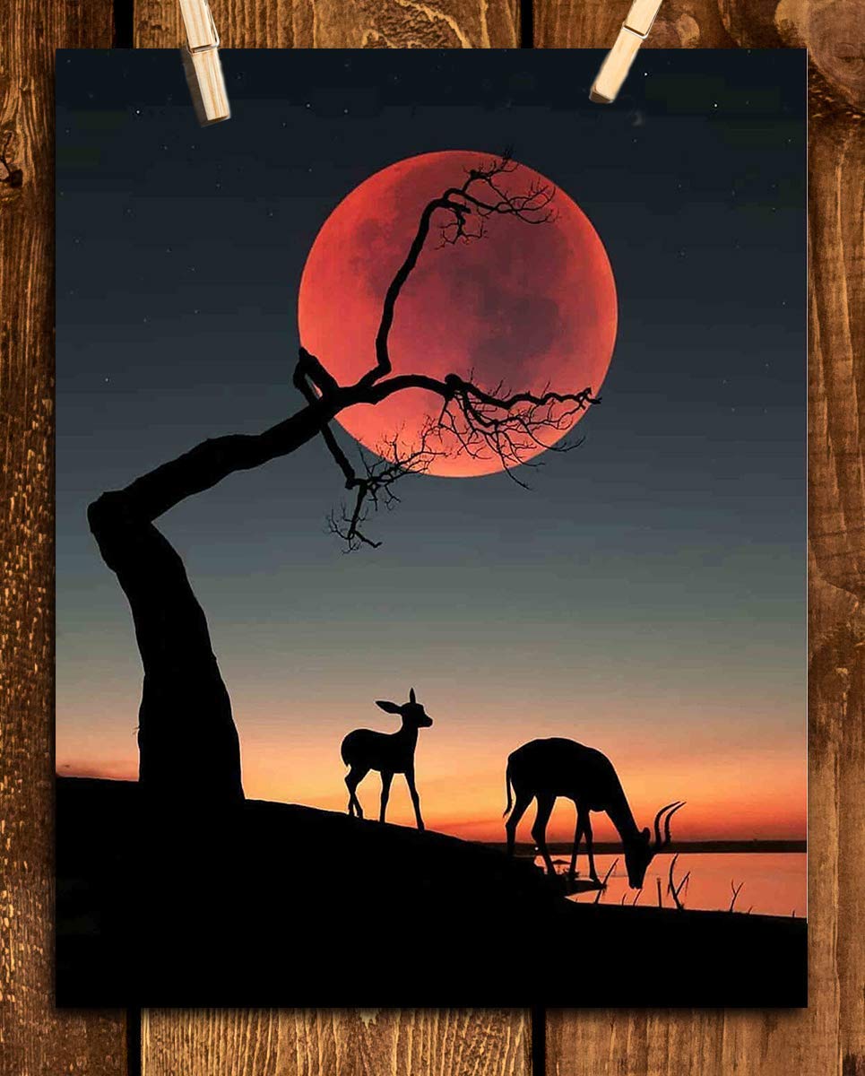 Orange Moon Sunset- 8 x 10"- Print Wall Art- Ready to Frame. Home D?cor, Office D?cor &amp; Nursery Decor. Perfect Evening Sunset with Tree Holding Magical Moon. Great Gift for Nature Art Lovers.