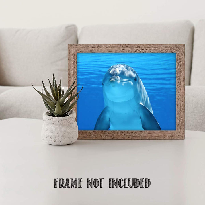 Young Dolphin Saying Hi!- 8 x 10" Print Wall Art- Ready to Frame- Home D?cor, Nursery D?cor &amp; Wall Prints for Animal &amp; Sea Themes &amp; Children&