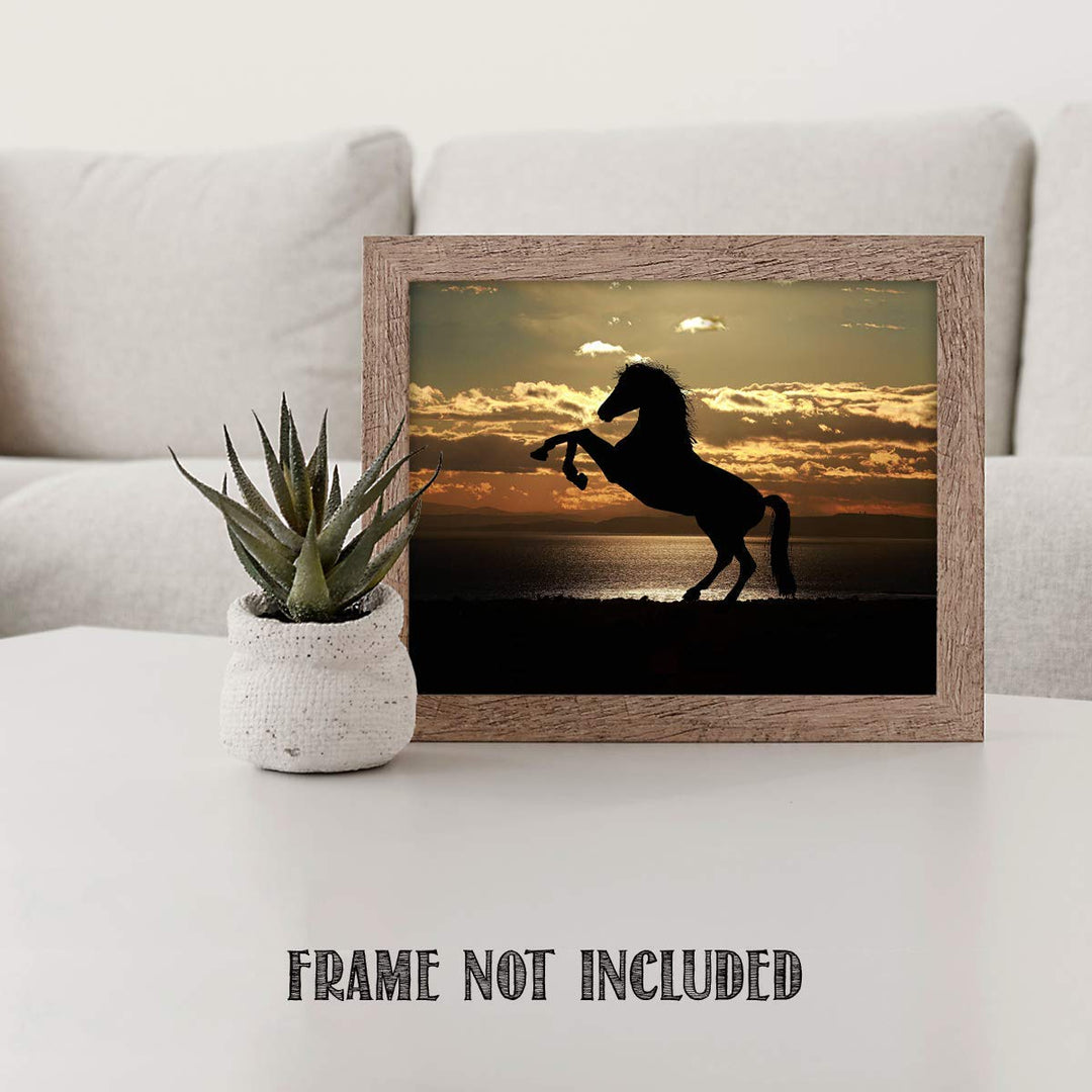 Majestic Horse at Sunset - 8 x 10 Print Wall Art- Ready to Frame- Home D?cor, Office D?cor &amp; Wall Prints for Animal, Horse &amp; Beach Theme Wall Decor. Feel the Power of the Stallion Rearing Up!