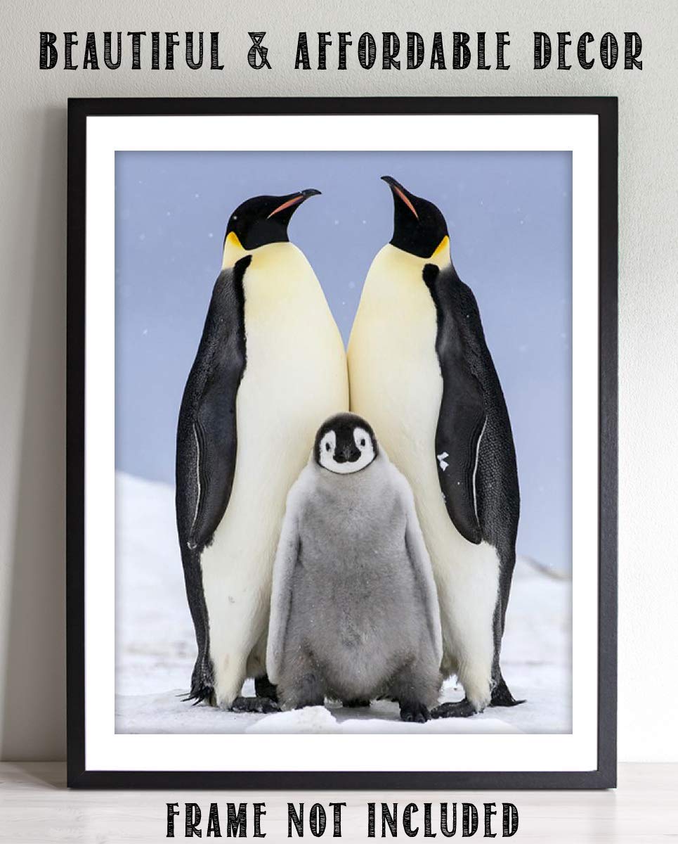 Funny Penguin Family Poster Print- 8 x 10" Print Wall Art- Ready to Frame. Home- Office D?cor, Nursery D?cor & Wall Prints for Animal Themes & Children's Bedroom Wall Decor. Will Make You Smile!