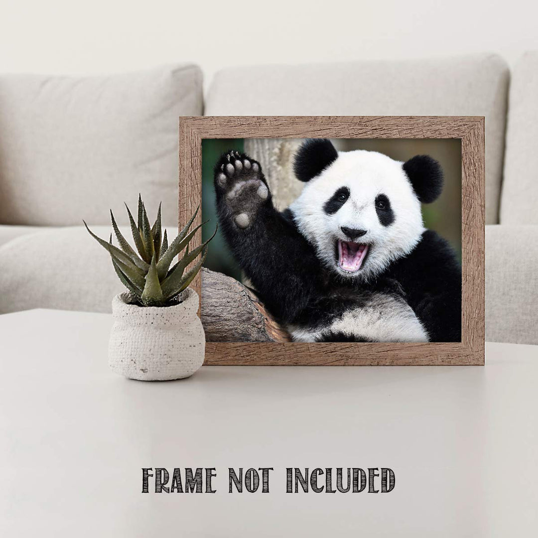 Happy Panda-Waving Hi!- Animal Poster Print-10 x 8" Print Wall Art- Ready to Frame. Home &amp; Office D?cor. Nursery D?cor &amp; Wall Prints for Animal Themes &amp; Children&
