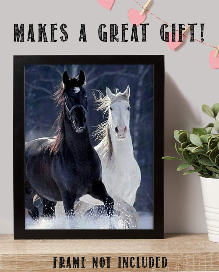 Horses Playing in Snow- 8 x 10" Print Wall Art-Ready to Frame. Beautiful Black &amp; White Horses Frolicking. Home-Office-Bar D?cor for Equestrian Themes &amp; Children&