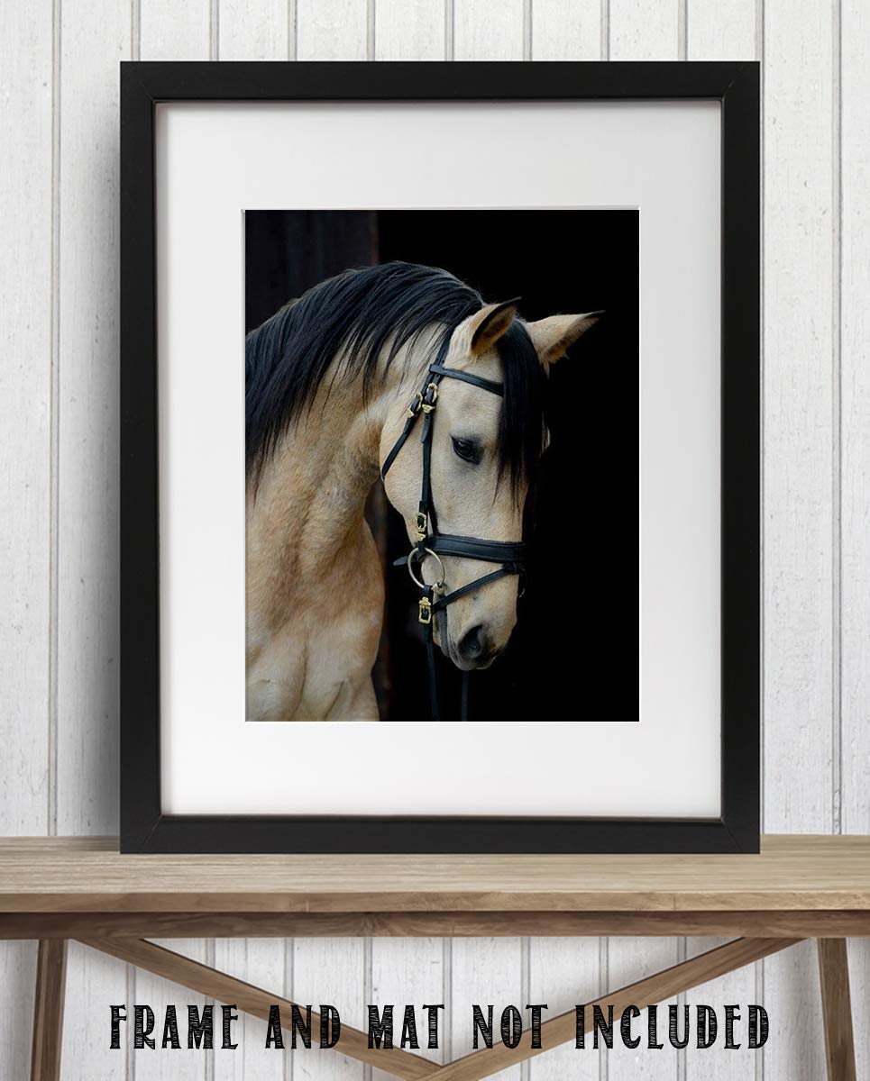 Beautiful Cream Horse- 8 x 10" Print Wall Art- Ready to Frame- Home D?cor, Nursery D?cor Wall Prints for Equestrian Themes, Children's Bedroom Wall Decor. Perfect Gift for Veterinarians & Horse Lovers