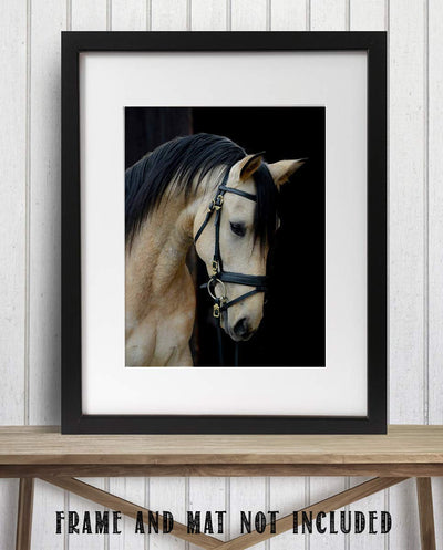 Beautiful Cream Horse- 8 x 10" Print Wall Art- Ready to Frame- Home D?cor, Nursery D?cor Wall Prints for Equestrian Themes, Children's Bedroom Wall Decor. Perfect Gift for Veterinarians & Horse Lovers