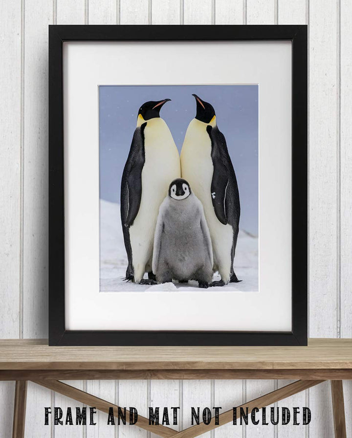 Funny Penguin Family Poster Print- 8 x 10" Print Wall Art- Ready to Frame. Home- Office D?cor, Nursery D?cor &amp; Wall Prints for Animal Themes &amp; Children&
