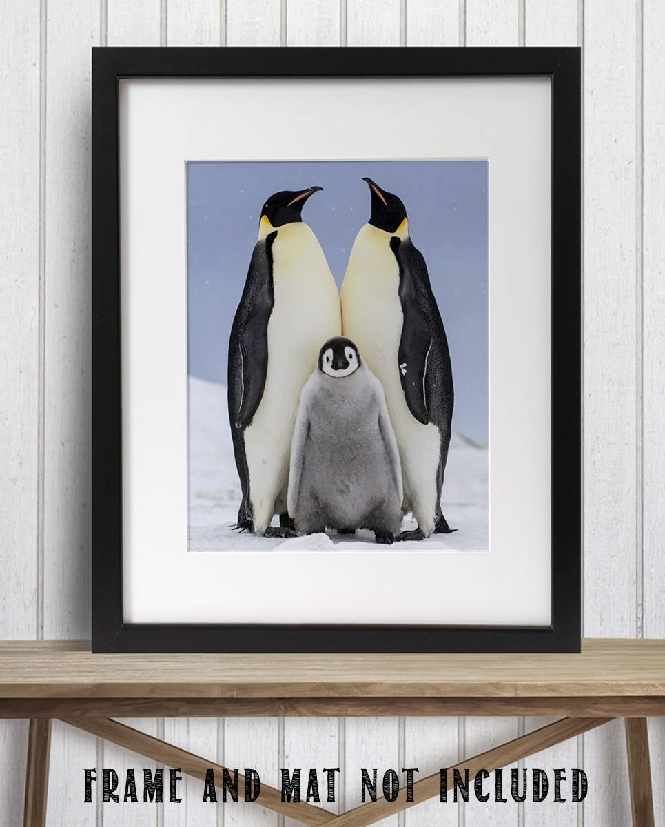 Funny Penguin Family Poster Print- 8 x 10" Print Wall Art- Ready to Frame. Home- Office D?cor, Nursery D?cor & Wall Prints for Animal Themes & Children's Bedroom Wall Decor. Will Make You Smile!