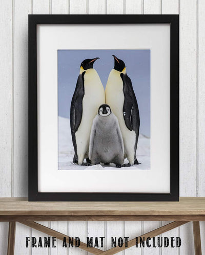 Funny Penguin Family Poster Print- 8 x 10" Print Wall Art- Ready to Frame. Home- Office D?cor, Nursery D?cor & Wall Prints for Animal Themes & Children's Bedroom Wall Decor. Will Make You Smile!