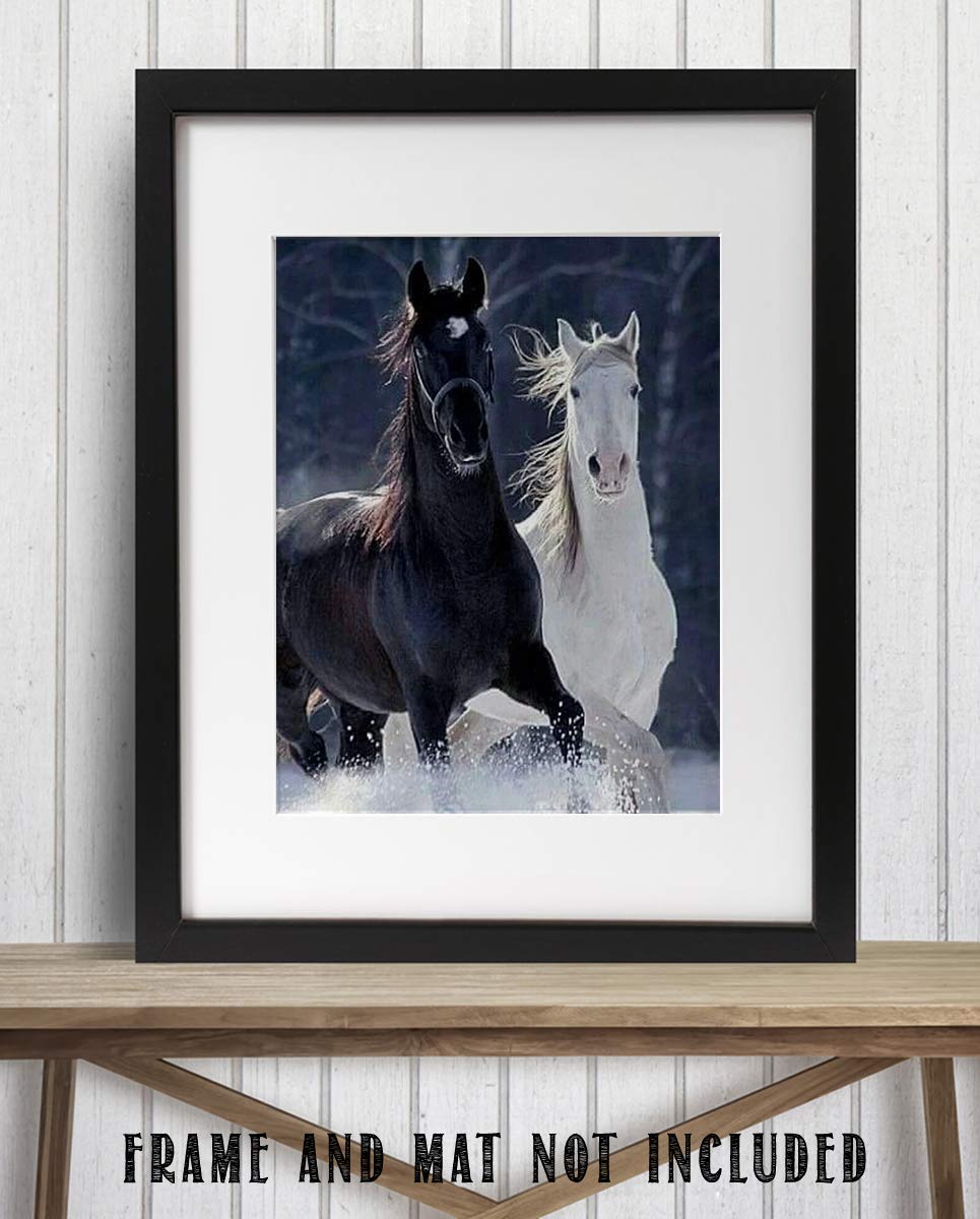 Horses Playing in Snow- 8 x 10" Print Wall Art-Ready to Frame. Beautiful Black &amp; White Horses Frolicking. Home-Office-Bar D?cor for Equestrian Themes &amp; Children&
