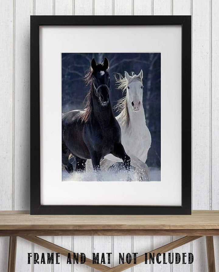 Horses Playing in Snow- 8 x 10" Print Wall Art-Ready to Frame. Beautiful Black &amp; White Horses Frolicking. Home-Office-Bar D?cor for Equestrian Themes &amp; Children&