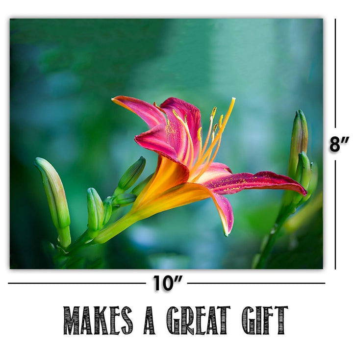 The Birds, Bees, Butterflies &amp; Blooming Blossoms Wall Art Set- (4) 8 x 10&
