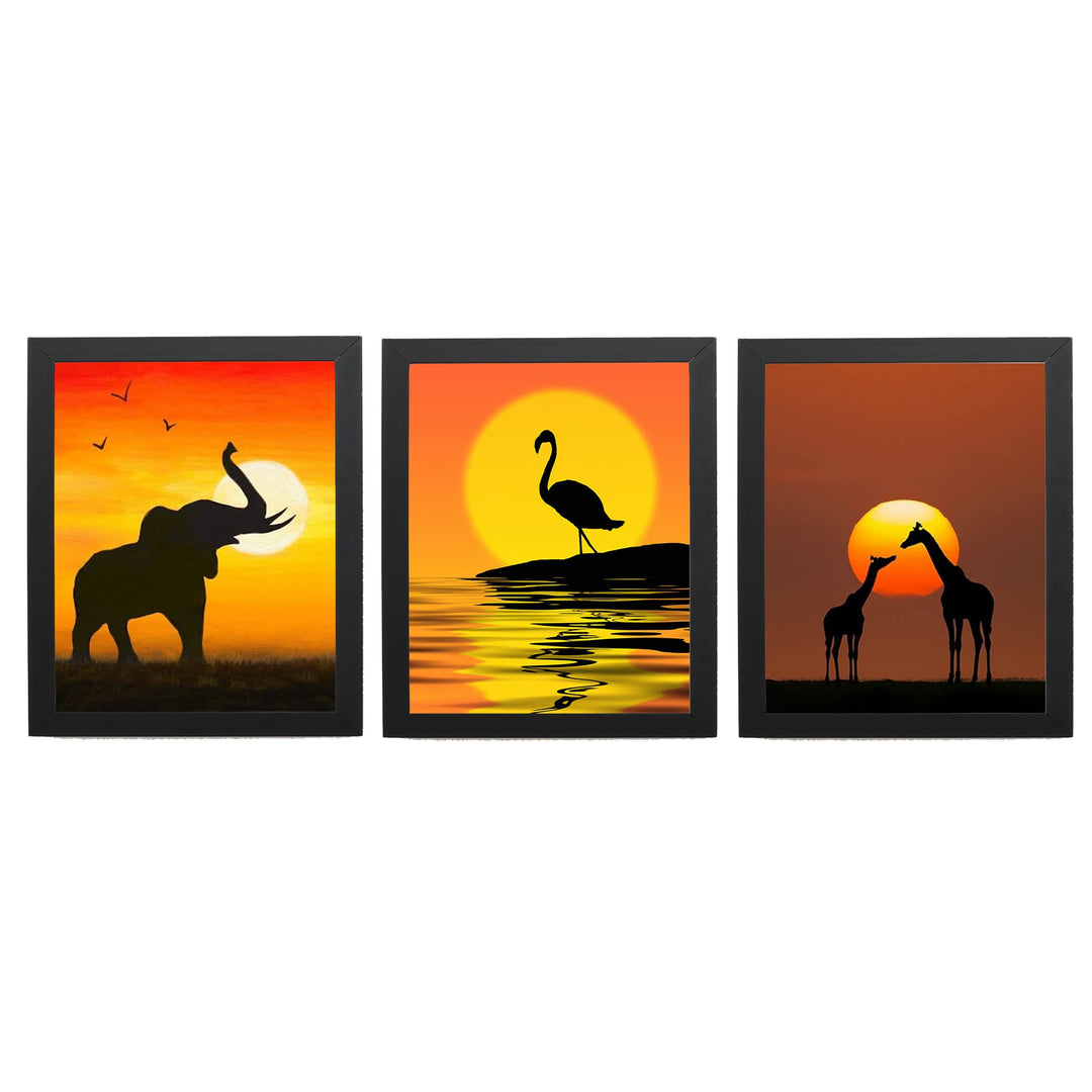African Wildlife Safari Sunsets- 3 Image Set- 8 x 10&
