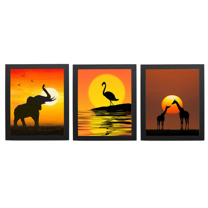 African Wildlife Safari Sunsets- 3 Image Set- 8 x 10&