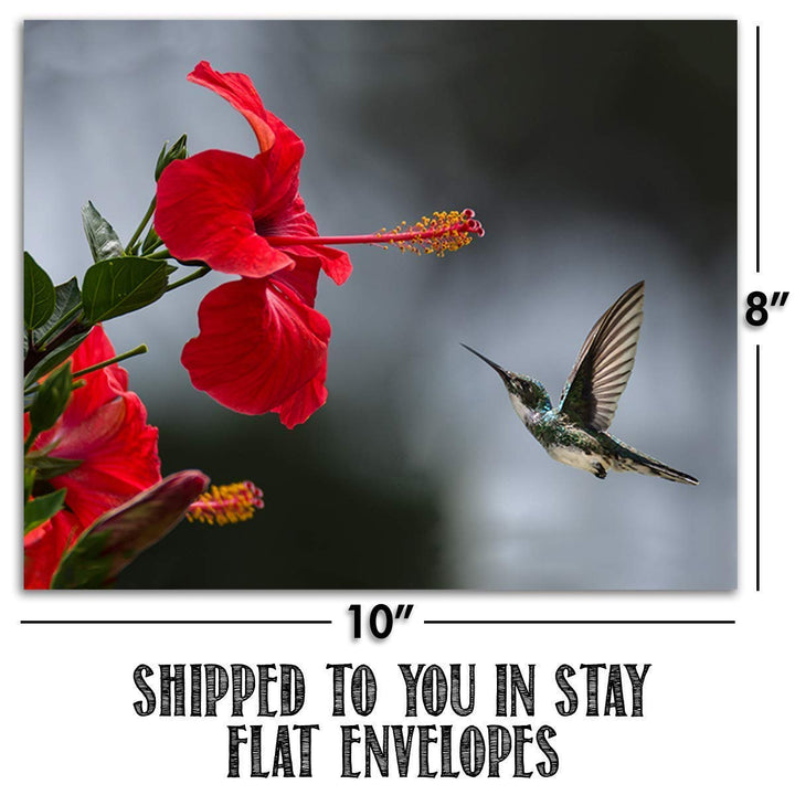 The Birds, Bees, Butterflies &amp; Blooming Blossoms Wall Art Set- (4) 8 x 10&