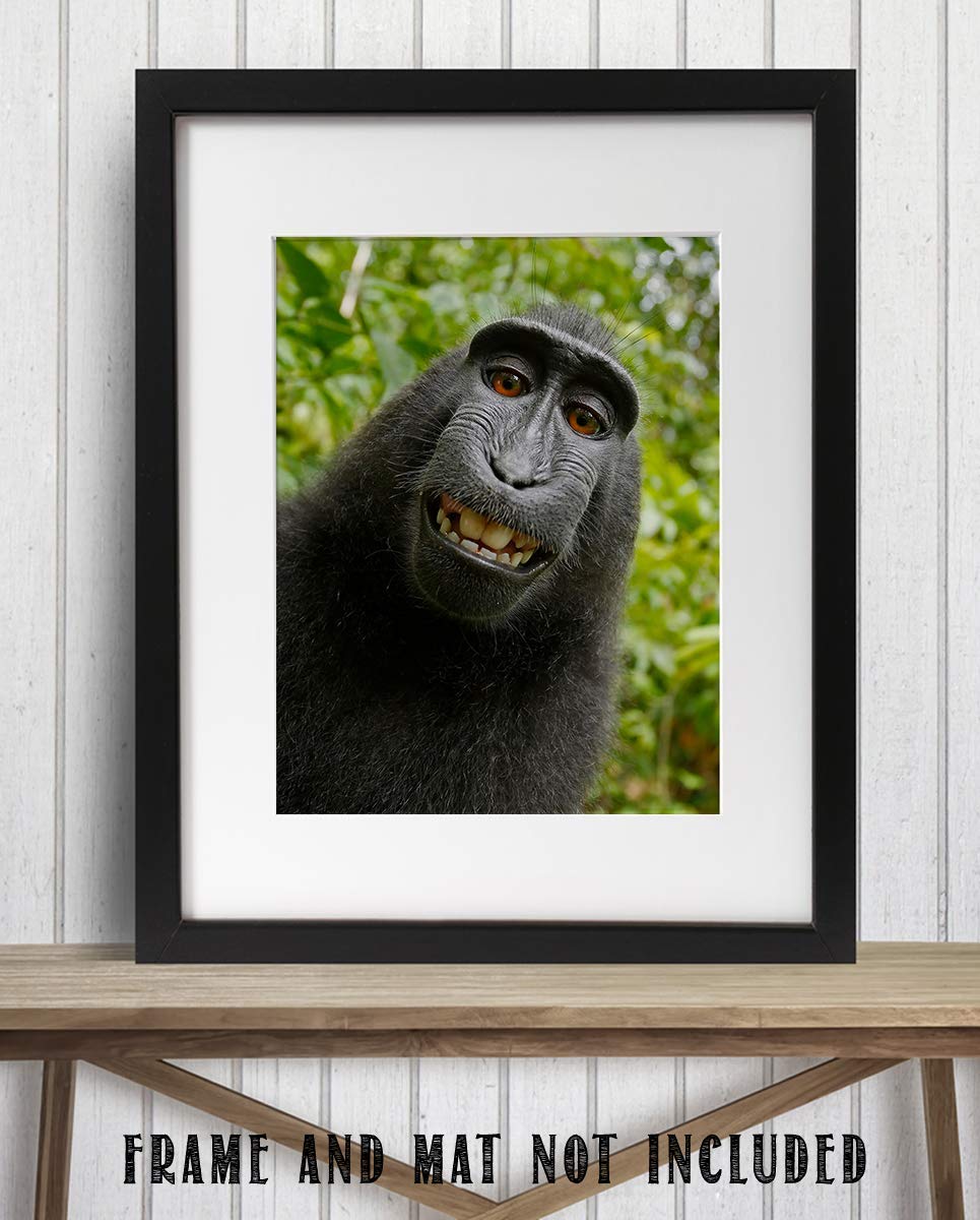 Smiling Monkey Selfie- 8 x 10" Print Wall Art- Ready to Frame- Home D?cor, Nursery D?cor & Wall Prints for Animal Themes & Children's Bedroom Wall Decor. Just Too Cute!