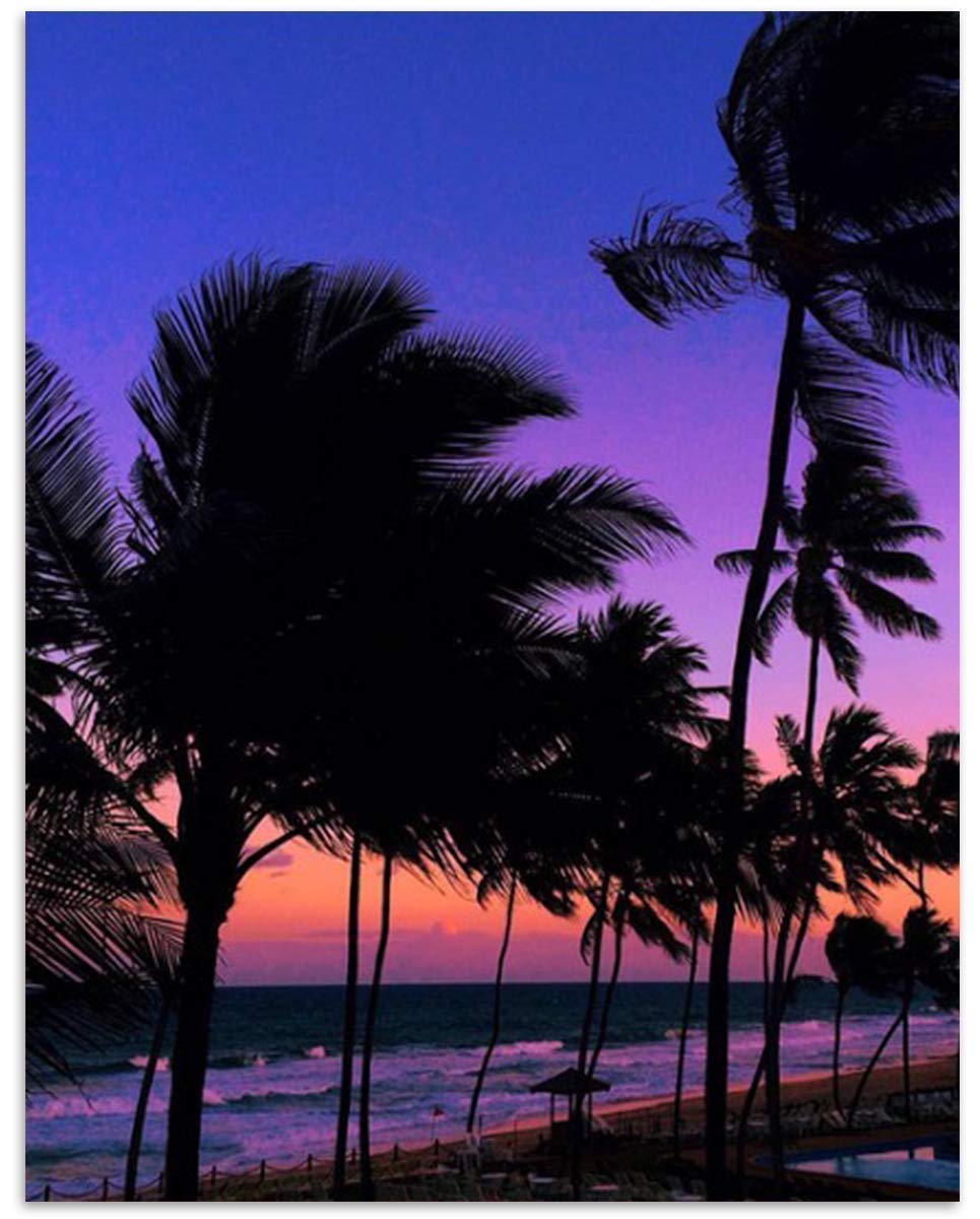 Purple Palms Beach Sunset- 8 x 10&