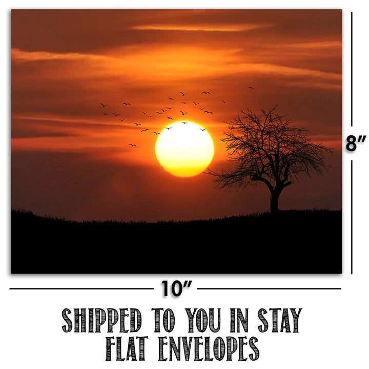 Safari Sunsets- 3 Image Set- 8 x 10&