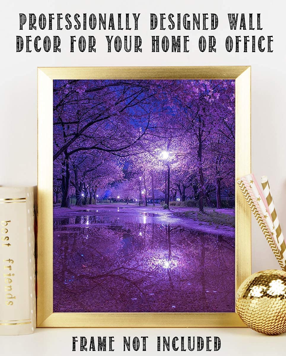 Purple Blossoms Rainy Reflections By Street Light - 8 x 10" Print Wall Art- Ready to Frame. Home D?cor, Office D?cor &amp; Wall Print. Rainy Night Reflections Makes Great Gift for Purple Flower Lovers.