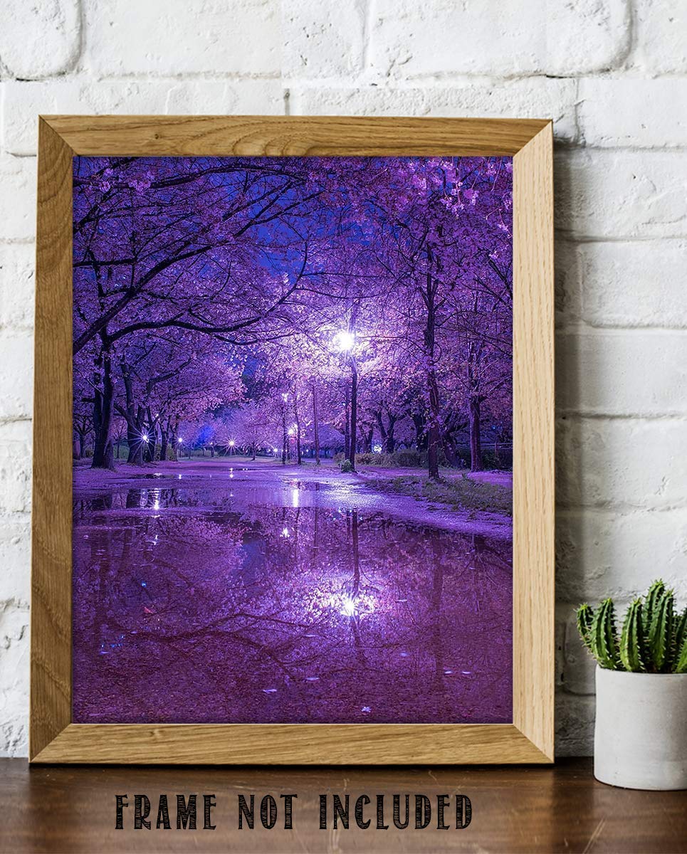 Purple Blossoms Rainy Reflections By Street Light - 8 x 10" Print Wall Art- Ready to Frame. Home D?cor, Office D?cor &amp; Wall Print. Rainy Night Reflections Makes Great Gift for Purple Flower Lovers.