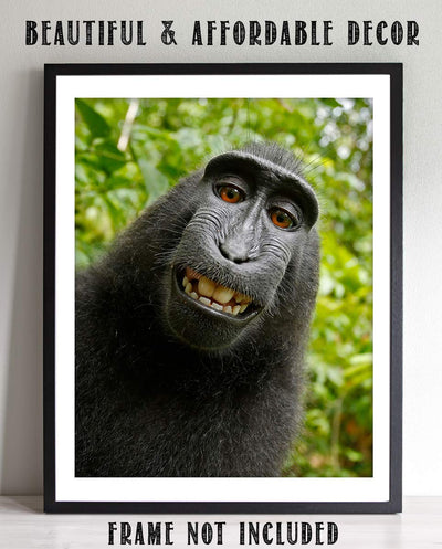 Smiling Monkey Selfie- 8 x 10" Print Wall Art- Ready to Frame- Home D?cor, Nursery D?cor & Wall Prints for Animal Themes & Children's Bedroom Wall Decor. Just Too Cute!