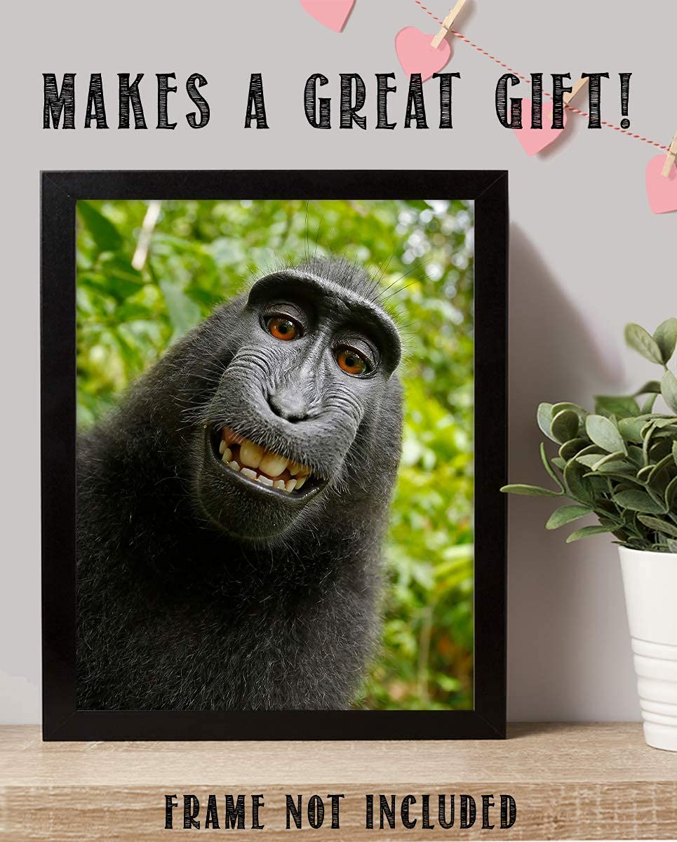 Smiling Monkey Selfie- 8 x 10" Print Wall Art- Ready to Frame- Home D?cor, Nursery D?cor & Wall Prints for Animal Themes & Children's Bedroom Wall Decor. Just Too Cute!