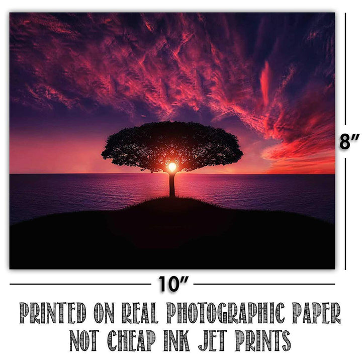 Safari Sunsets- 3 Image Set- 8 x 10&