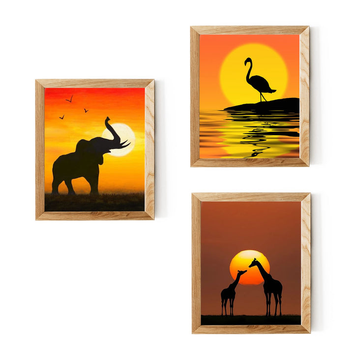 African Wildlife Safari Sunsets- 3 Image Set- 8 x 10&