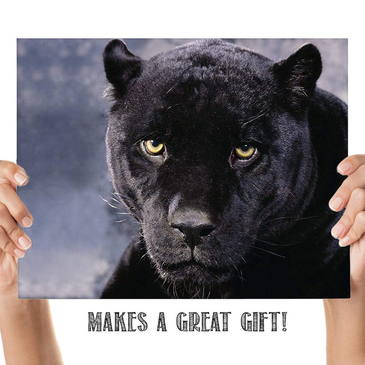 Intimidating Black Panther-8 x 10- Wall Art- Ready to Frame- Home D?cor, Office D?cor &amp; Wall Prints for Animal, Safari &amp; Jungle Theme Wall Decor. Feel the Fright of the Big Black Cat! Great Gift!