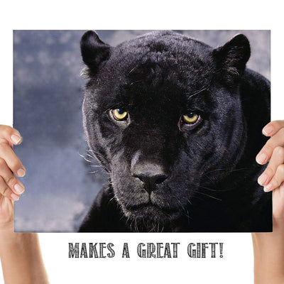 Intimidating Black Panther-8 x 10- Wall Art- Ready to Frame- Home D?cor, Office D?cor & Wall Prints for Animal, Safari & Jungle Theme Wall Decor. Feel the Fright of the Big Black Cat! Great Gift!