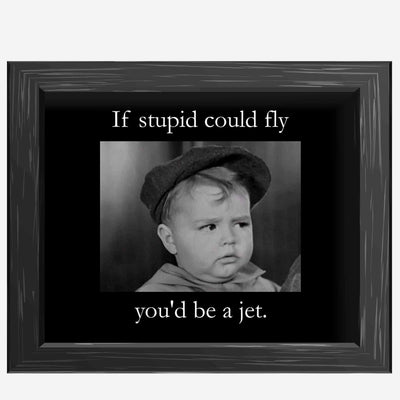 If Stupid Could Fly-You'd Be A Jet Funny Quotes Wall Art Sign -10x8" Sarcastic Poster Print-Ready to Frame. Humorous Home-Studio-Office-Desk-Cave Decor. Perfect Novelty Sign. Great Gift of Sarcasm!