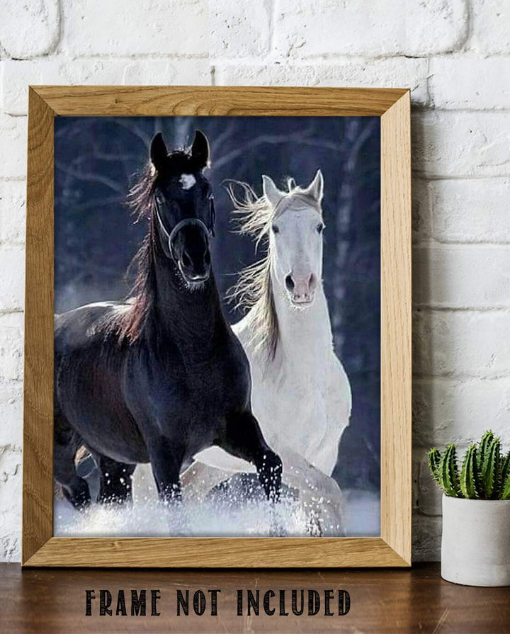 Horses Playing in Snow- 8 x 10" Print Wall Art-Ready to Frame. Beautiful Black &amp; White Horses Frolicking. Home-Office-Bar D?cor for Equestrian Themes &amp; Children&