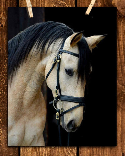 Beautiful Cream Horse- 8 x 10" Print Wall Art- Ready to Frame- Home D?cor, Nursery D?cor Wall Prints for Equestrian Themes, Children's Bedroom Wall Decor. Perfect Gift for Veterinarians & Horse Lovers