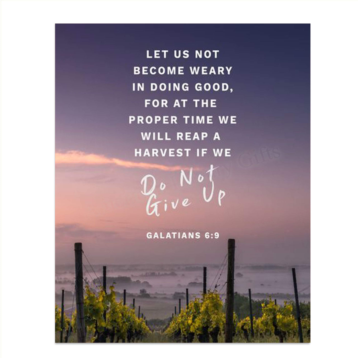 Let Us Not Become Weary- Do Not Give Up- Gal. 6:9- Bible Verse Wall Art- 8x10"-Sunset Vineyards-Scripture Wall Print- Ready to Frame. Home D?cor-Office D?cor-Christian Gifts. The Harvest is Coming!