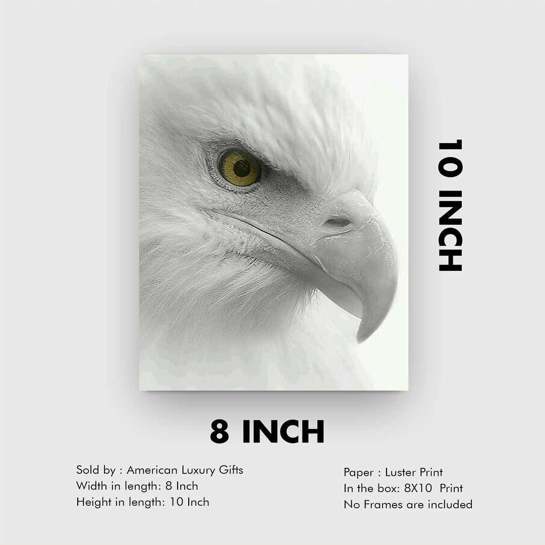 Fearless Bald Eagle Motivational American Wall Art -8 x 10" Patriotic Eagle Photo Print-Ready to Frame. Inspirational Home-Office-School-Cave Decor. Great for Animal &amp; Political Theme Wall Decor!